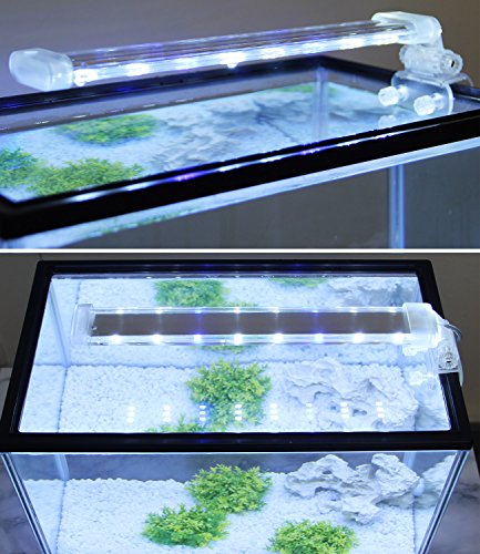 BPS® - Lampada per acquario a LED, illuminazione per piante subacquee, luce bianca e blu, 2 modelli a scelta 4 W/8 W