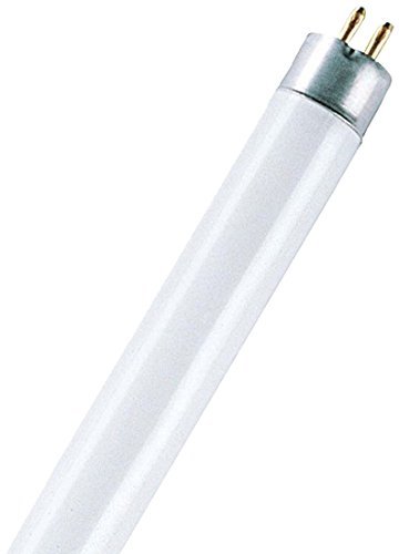Osram Basic T5 Short G5 L 6 W/640 Lampada fluorescente