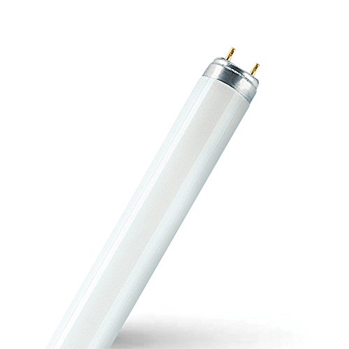 Osram LED della lampadina, Vetro, G13, 7.6 W, Bianco, 60.2 x 2.8 x 2.8 cm