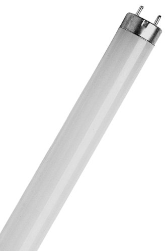 SLV 548.201 G13 18 W 4000 K Glass T8 Lampada fluorescente, Bianco